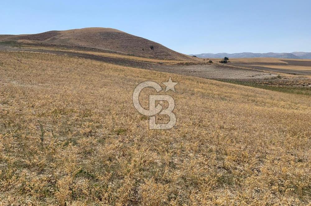 Sincan Yenikent Yenikayı’da SATILIK Hisseli 1291 m2 TARLA …
