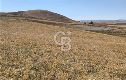 Sincan Yenikent Yenikayı’da SATILIK Hisseli 1291 m2 TARLA …