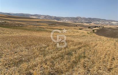 Sincan Yenikent Yenikayı’da SATILIK Hisseli 1291 m2 TARLA …