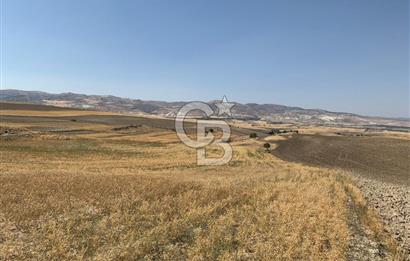 Sincan Yenikent Yenikayı’da SATILIK Hisseli 1291 m2 TARLA …