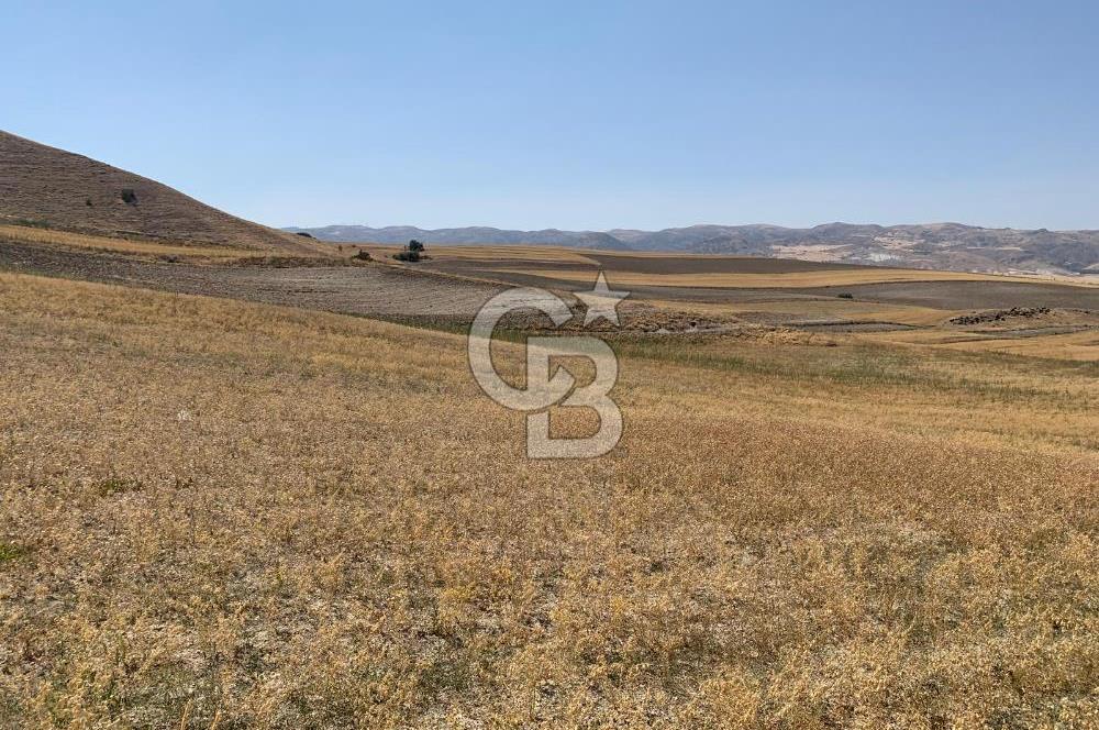 Sincan Yenikent Yenikayı’da SATILIK Hisseli 1291 m2 TARLA …