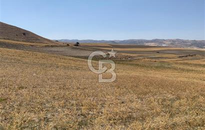 Sincan Yenikent Yenikayı’da SATILIK Hisseli 1291 m2 TARLA …