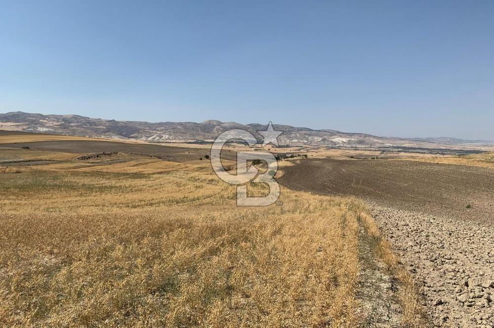Sincan Yenikent Yenikayı’da SATILIK Hisseli 1291 m2 TARLA …