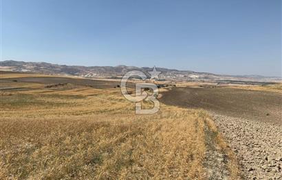 Sincan Yenikent Yenikayı’da SATILIK Hisseli 1291 m2 TARLA …