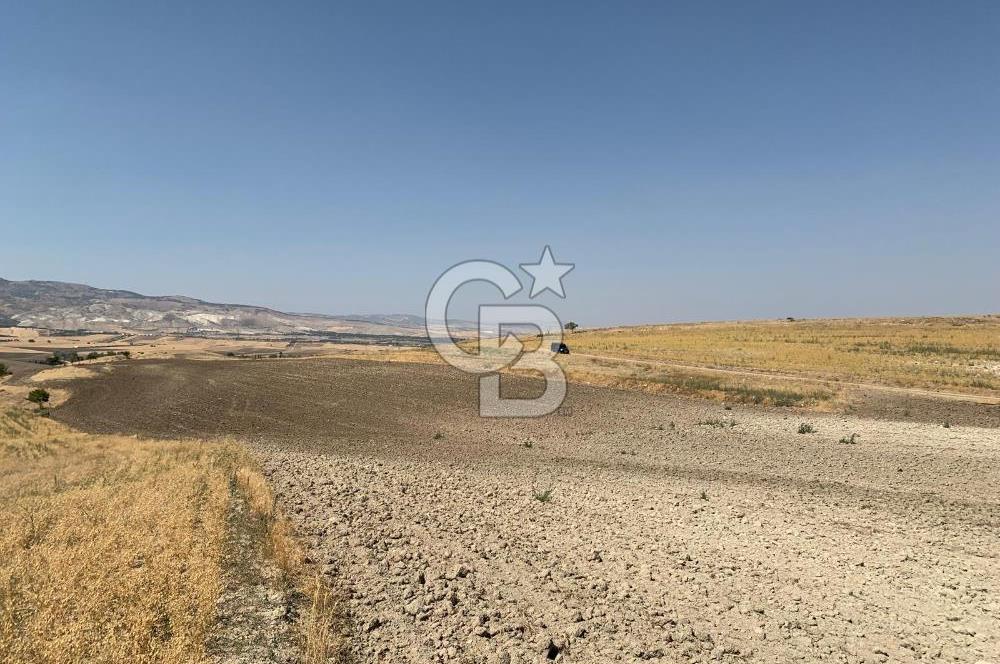 Sincan Yenikent Yenikayı’da SATILIK Hisseli 1291 m2 TARLA …