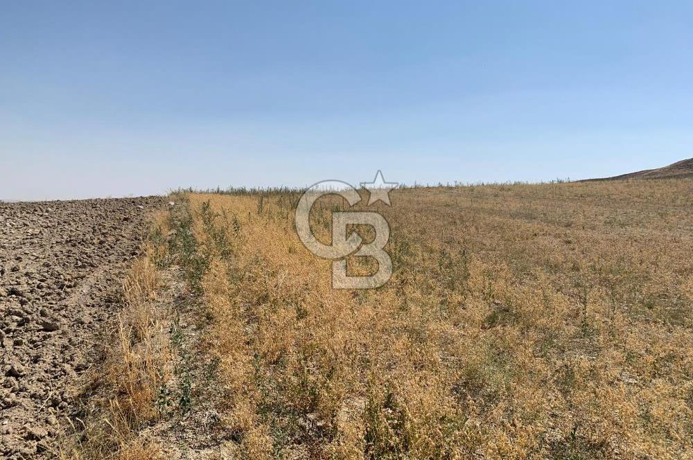 Sincan Yenikent Yenikayı’da SATILIK Hisseli 1291 m2 TARLA …