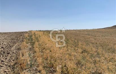 Sincan Yenikent Yenikayı’da SATILIK Hisseli 1291 m2 TARLA …