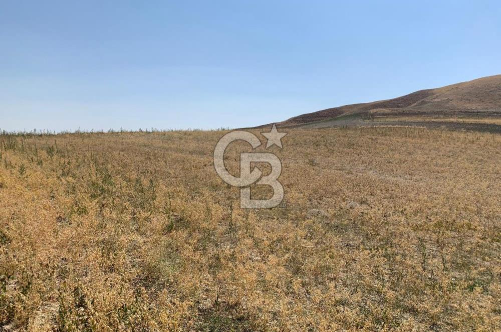 Sincan Yenikent Yenikayı’da SATILIK Hisseli 1291 m2 TARLA …