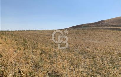 Sincan Yenikent Yenikayı’da SATILIK Hisseli 1291 m2 TARLA …