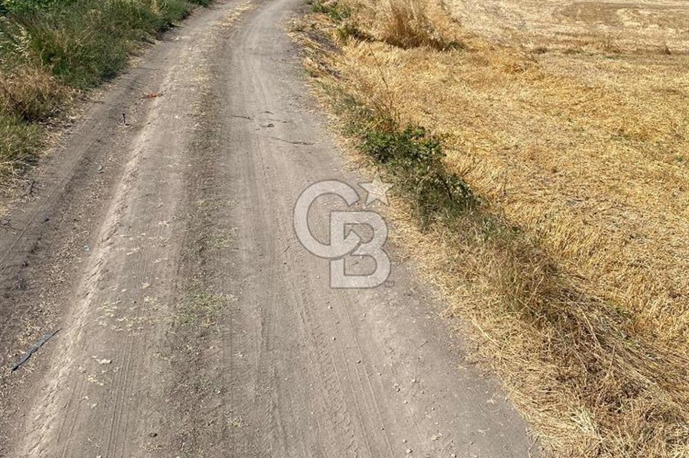 BİGA KORUOBA SATILIK TARLA