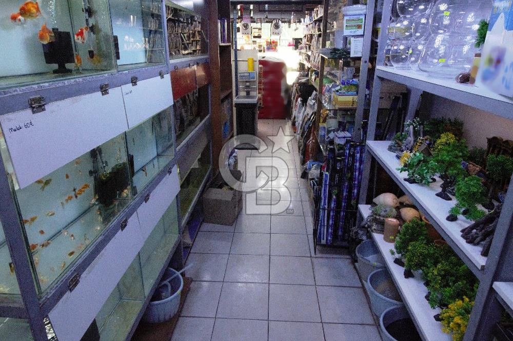 CB OPİA'DAN YATIRIMA UYGUN FIRSAT DÜKKAN !