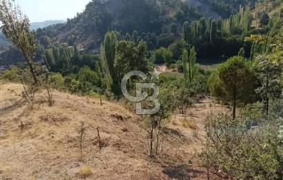 MANİSA DEMİRCİ ÖREN MAHALLESİNDE SATILIK TARLA 