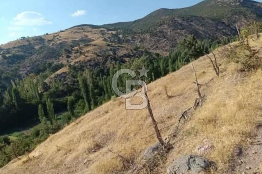 MANİSA DEMİRCİ ÖREN MAHALLESİNDE SATILIK TARLA 