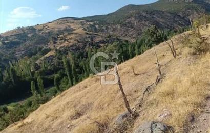 MANİSA DEMİRCİ ÖREN MAHALLESİNDE SATILIK TARLA 