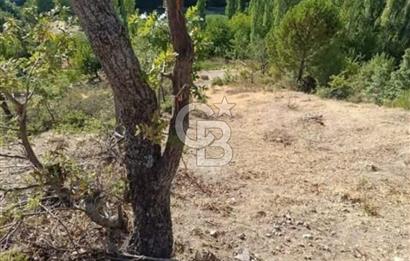 MANİSA DEMİRCİ ÖREN MAHALLESİNDE SATILIK TARLA 