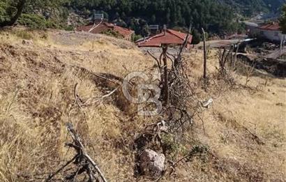 MANİSA DEMİRCİ ÖREN MAHALLESİNDE SATILIK TARLA 