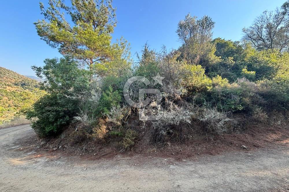 Payamlı'da 3105 m2 Akarsu Dibinde Keyifli Yatırımlık Arazi