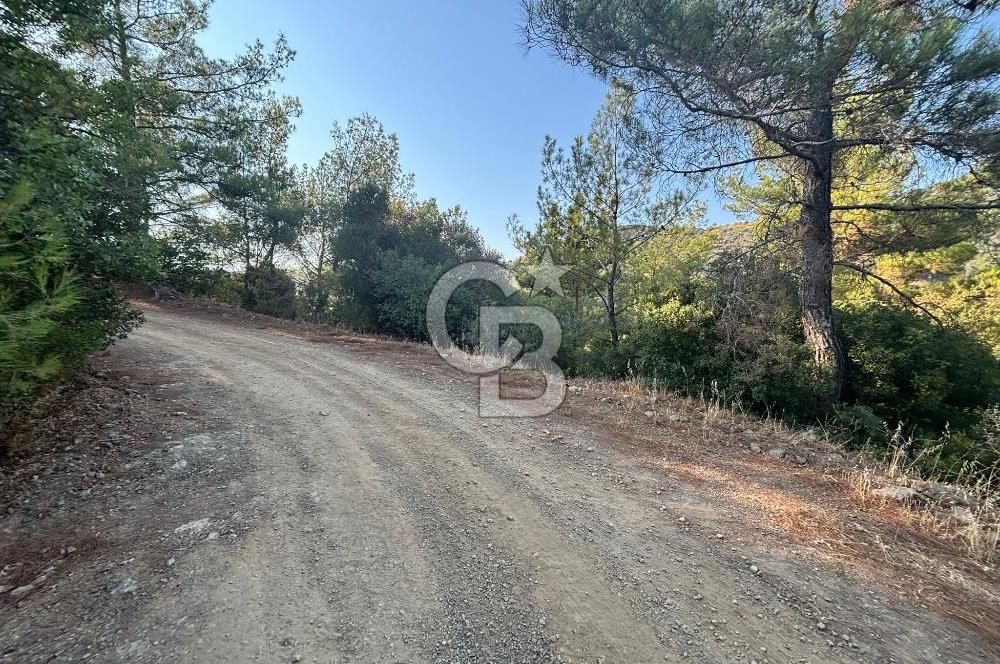 Payamlı'da 3105 m2 Akarsu Dibinde Keyifli Yatırımlık Arazi