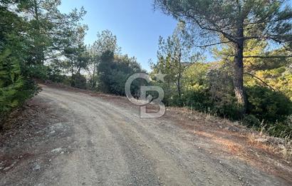 Payamlı'da 3105 m2 Akarsu Dibinde Keyifli Yatırımlık Arazi