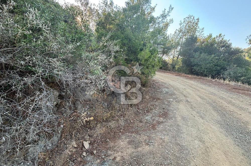Payamlı'da 3105 m2 Akarsu Dibinde Keyifli Yatırımlık Arazi