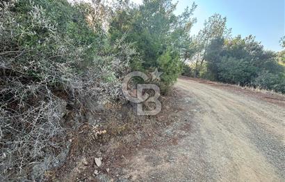 Payamlı'da 3105 m2 Akarsu Dibinde Keyifli Yatırımlık Arazi