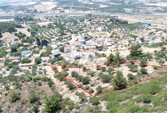 ALİAĞA SAMURLU KÖYÜNDE 4.390 m² ZEYTİNLİK MANZARALI TARLA