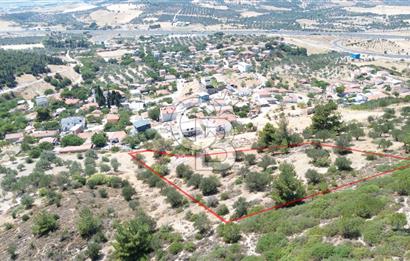 ALİAĞA SAMURLU KÖYÜNDE 4.390 m² ZEYTİNLİK MANZARALI TARLA