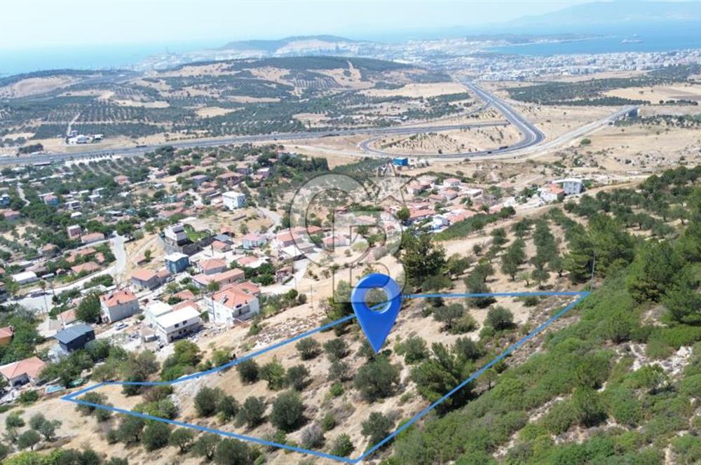 ALİAĞA SAMURLU KÖYÜNDE 4.390 m² ZEYTİNLİK MANZARALI TARLA