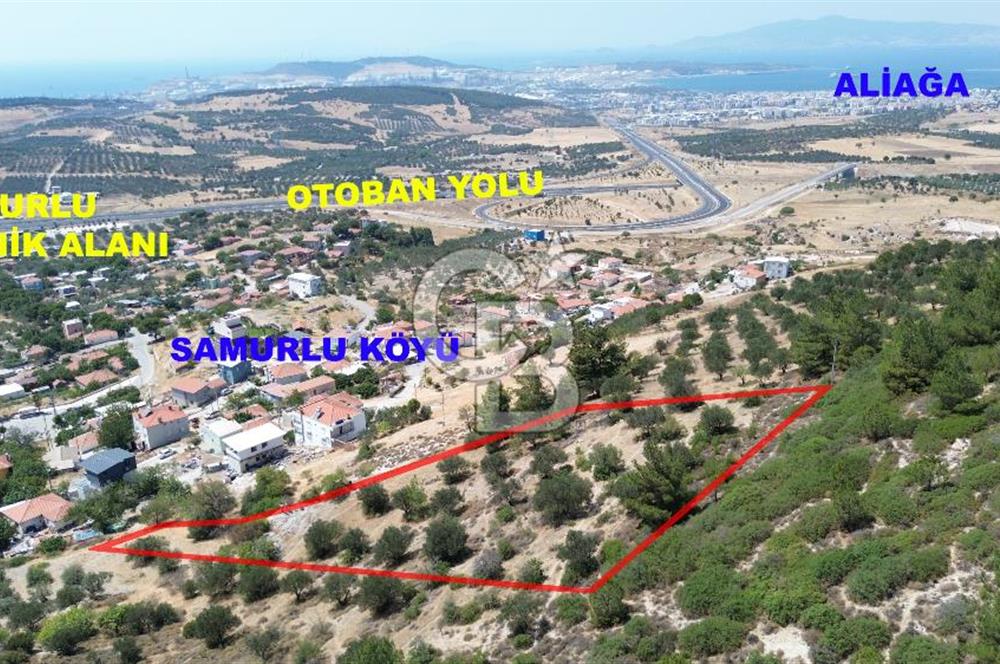ALİAĞA SAMURLU KÖYÜNDE 4.390 m² ZEYTİNLİK MANZARALI TARLA
