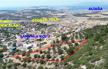 ALİAĞA SAMURLU KÖYÜNDE 4.390 m² ZEYTİNLİK MANZARALI TARLA