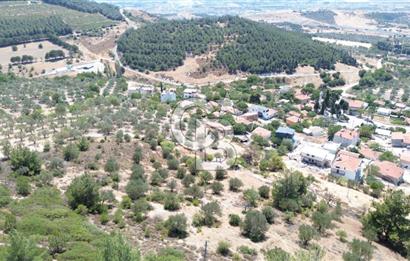 ALİAĞA SAMURLU KÖYÜNDE 4.390 m² ZEYTİNLİK MANZARALI TARLA