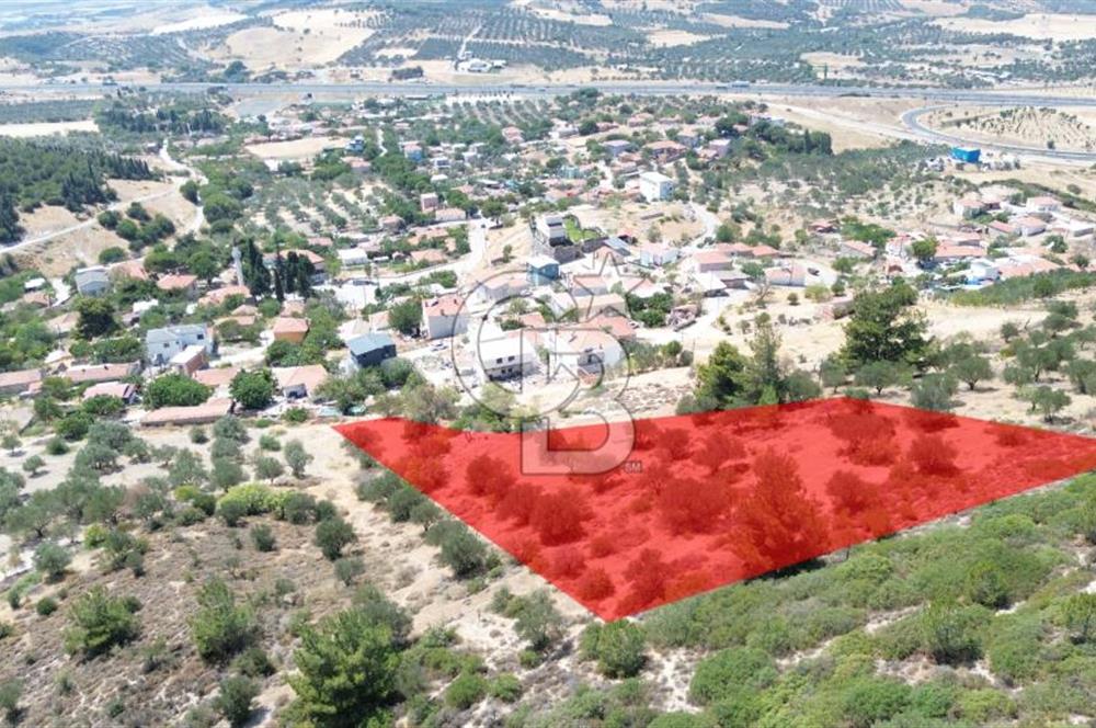 ALİAĞA SAMURLU KÖYÜNDE 4.390 m² ZEYTİNLİK MANZARALI TARLA