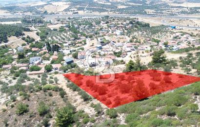 ALİAĞA SAMURLU KÖYÜNDE 4.390 m² ZEYTİNLİK MANZARALI TARLA