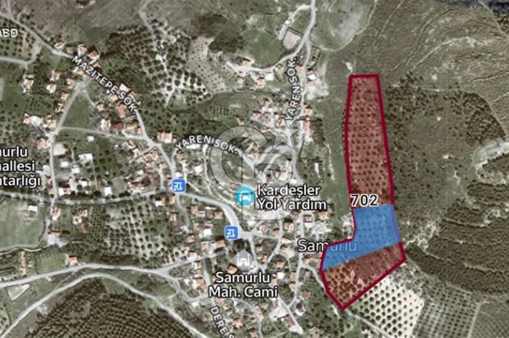 ALİAĞA SAMURLU KÖYÜNDE 4.390 m² ZEYTİNLİK MANZARALI TARLA