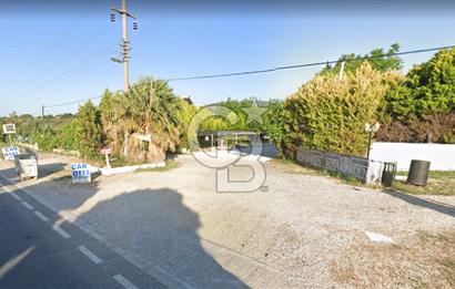 Urla İzmir asfaltı cepheli 7 dönüm satılık arazi