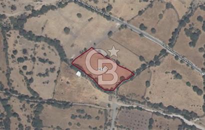 ALİAĞA KARAKUZU KÖYÜNDE 4700 M² TARLA