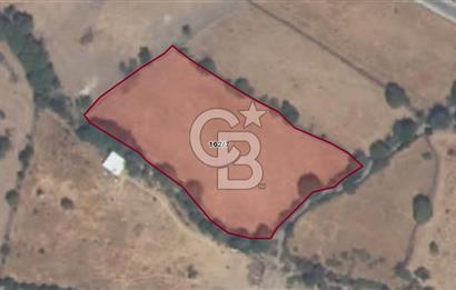 ALİAĞA KARAKUZU KÖYÜNDE 4700 M² TARLA