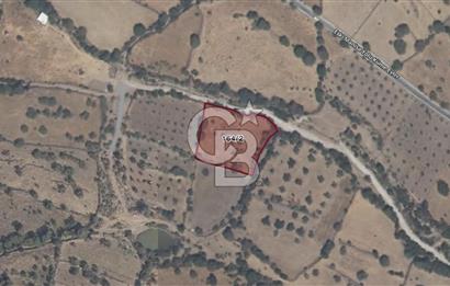 ALİAĞA KARAKUZU KÖYÜNDE 2900 M² TARLA
