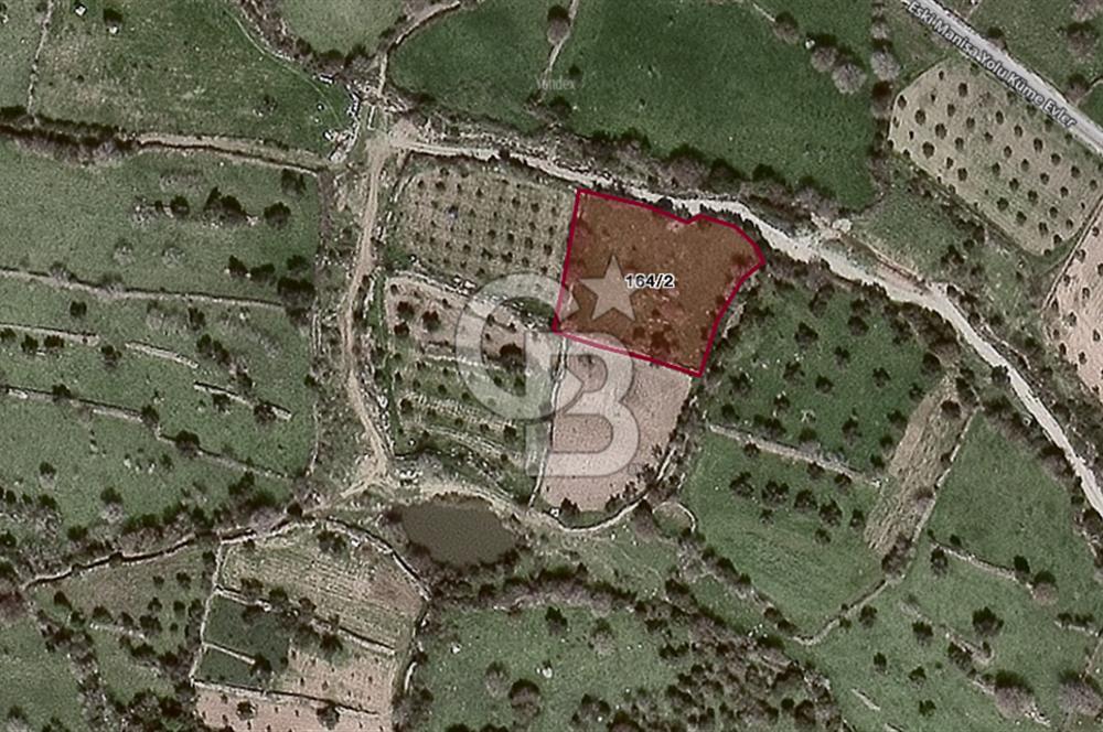 ALİAĞA KARAKUZU KÖYÜNDE 2900 M² TARLA