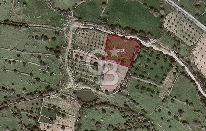 ALİAĞA KARAKUZU KÖYÜNDE 2900 M² TARLA
