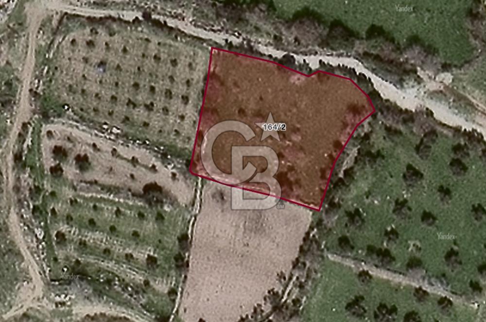 ALİAĞA KARAKUZU KÖYÜNDE 2900 M² TARLA
