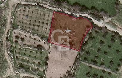 ALİAĞA KARAKUZU KÖYÜNDE 2900 M² TARLA