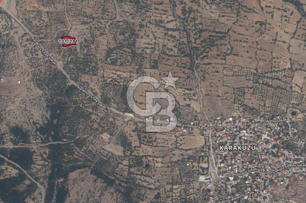 ALİAĞA KARAKUZU KÖYÜNDE 2300 M² ZEYTİNLİK