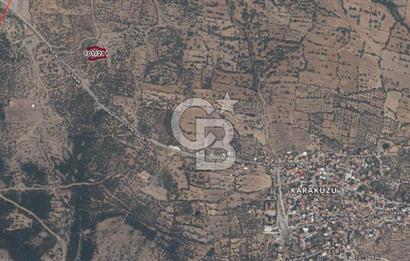 ALİAĞA KARAKUZU KÖYÜNDE 2300 M² ZEYTİNLİK