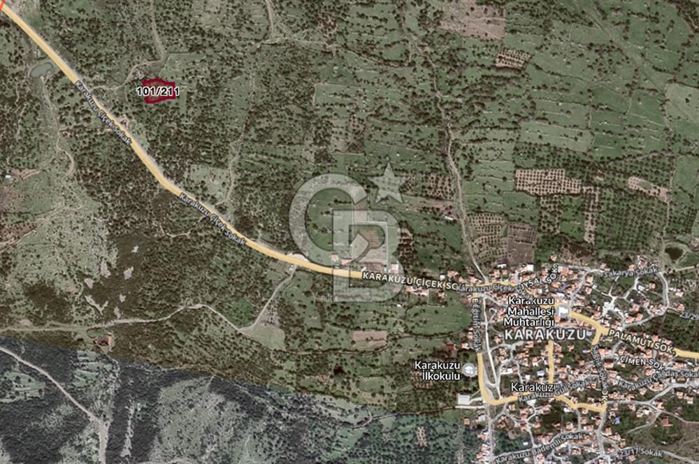 ALİAĞA KARAKUZU KÖYÜNDE 2300 M² ZEYTİNLİK