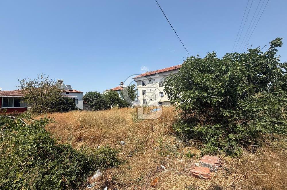 Samsun Vezirköprüde kat karşılığı arsa