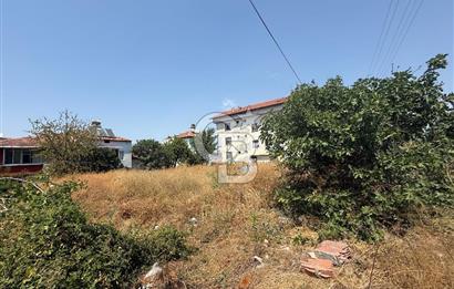 Samsun Vezirköprüde kat karşılığı arsa