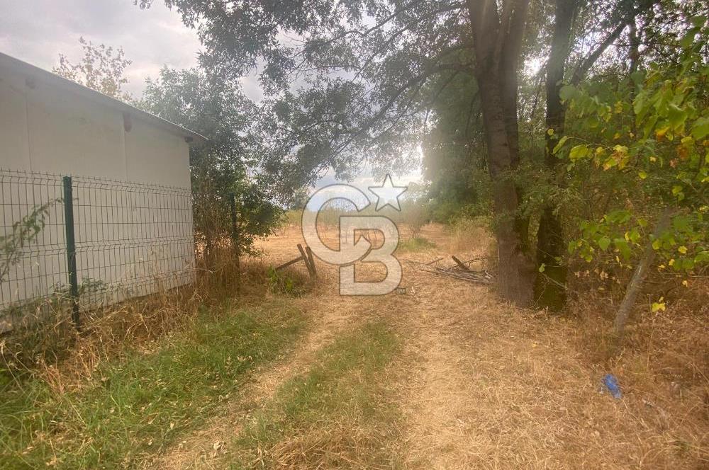 YATIRIMIN ADRESİ! Hendek Kargalı'da 13,386m2 Satılık Fındıklık