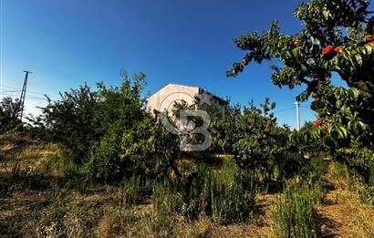 LAPSEKİ ÇARDAK DA HEMEN İNŞAAT YAPILABİLİR YATIRIMLIK 270m2 ARSA