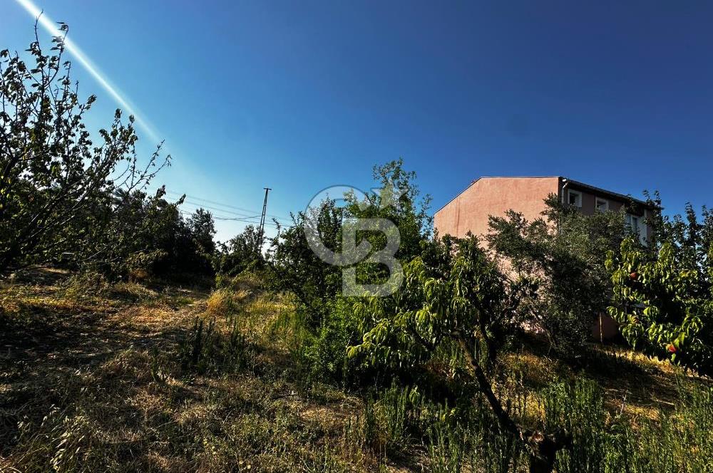 LAPSEKİ ÇARDAK DA HEMEN İNŞAAT YAPILABİLİR YATIRIMLIK 270m2 ARSA